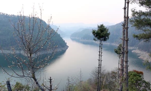 kulekhani-1563534129.jpg