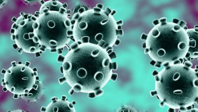 corona-virus-1589612614.jpg