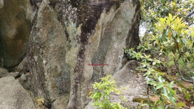 ganesh-dhunga-1-1590223429.jpg
