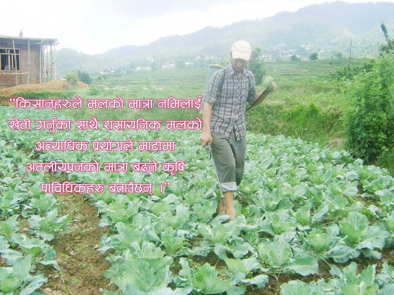 rasayanik-1596172262.jpg