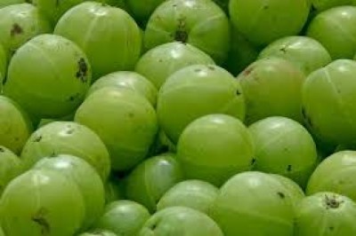 amla-1604819446.jpg