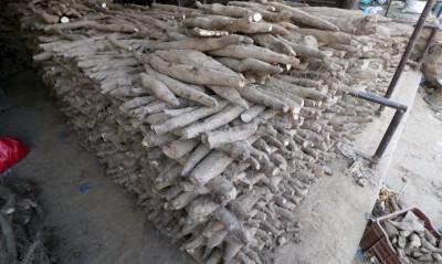 yam-1610525441.jpg