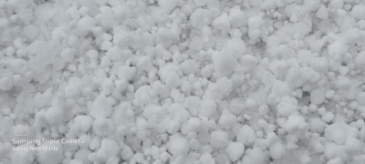 146858576_785997095376638-1612603916.jpg