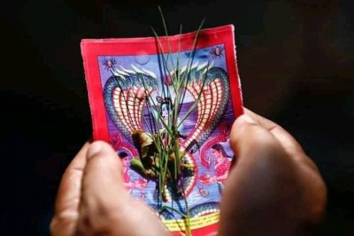 naagpanchami-1628823820.jpg