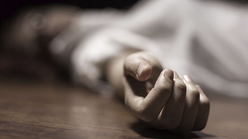 db1-1630819180.jpg