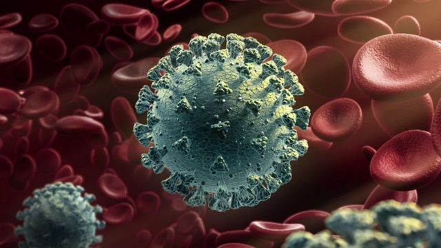 coronavirus1608954256-1654501314.jpg