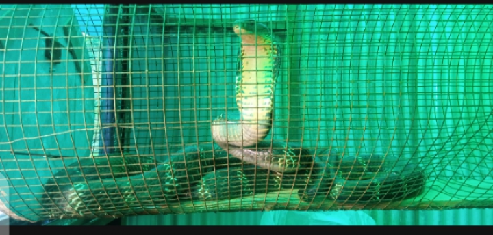 Screenshot_20220825-22074-1661444813.png