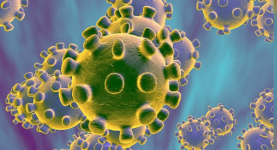 korona_virus_62Du0tP47r-1673001706.jpg