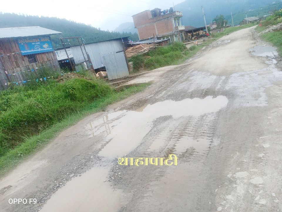 kunchal-kulekhani-sadak-1-1693405082.jpg