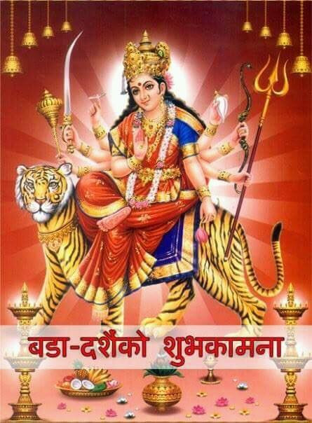 dasai-1697345330.jpg