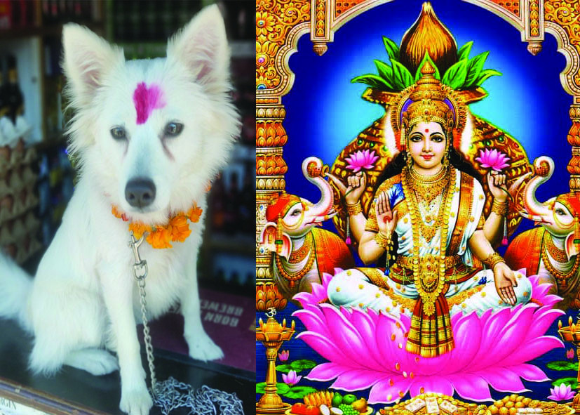tihar-1699754297.jpg